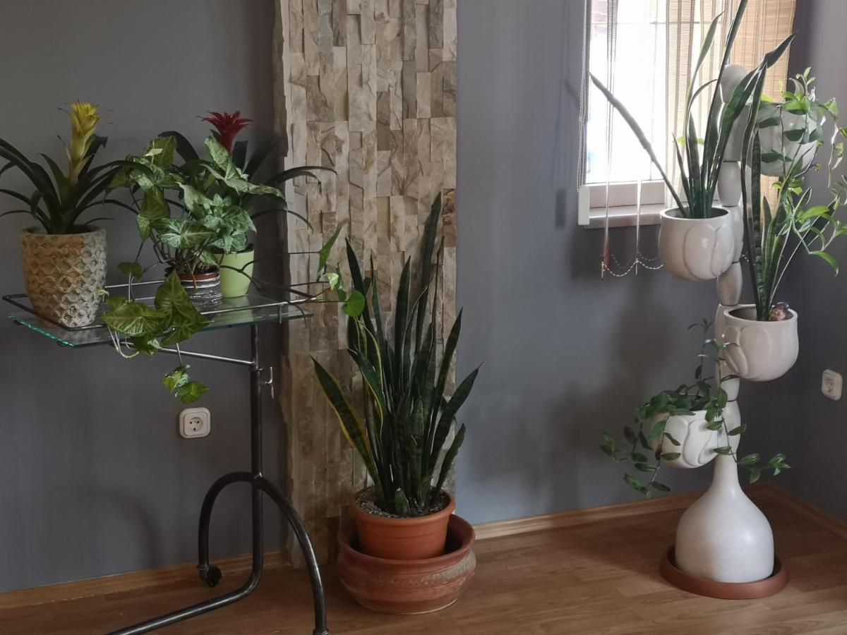 Hotello Apartmanház és Panzió Zalaegerszeg Exterior foto